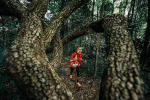 BIB: 
                            <button type="button" onclick="openModal(25392820)" class="btn btn-primary btn-sm float-right btn-popup" data-toggle="modal" data-target=".modal-high-quality">
                        <i class="fas fa-shopping-cart"></i> Add to Cart
                    </button>
                                            <button type="button" onclick="isThisMe(25392820, true)" class="btn btn-success btn-sm float-right btn-popup btn-isme hidden" data-toggle="tooltip" data-placement="bottom" title="นี่คือรูปของคุณใช่ไหม คลิกที่นี่เพื่อเอาเข้าอัลบั้ม">
                        <i class="fas fa-plus"></i> Add to album
                    </button>
                    <button type="button" onclick="isThisMe(25392820, false)" class="btn btn-warning btn-sm float-right btn-popup btn-isnotme hidden">
                        <i class="fas fa-ban"></i> Remove from album
                    </button>